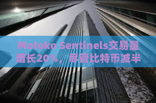 Motoko Sentinels交易量增长20%，尽管比特币减半后交易量下降58%