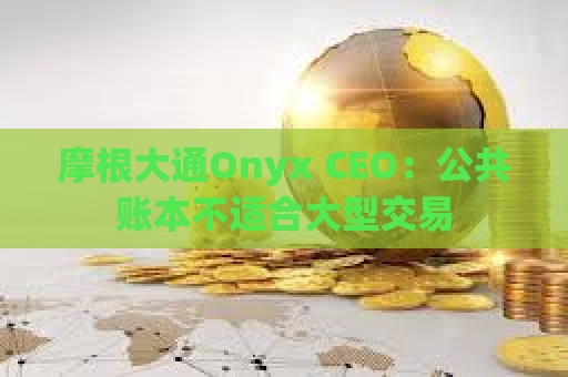 摩根大通Onyx CEO：公共账本不适合大型交易