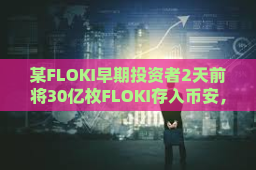 某FLOKI早期投资者2天前将30亿枚FLOKI存入币安，仍持有230亿枚SHIB